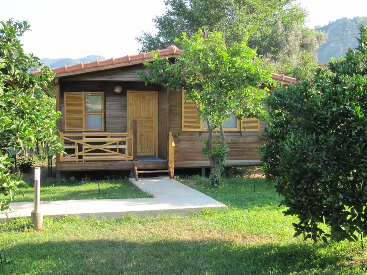 Baris Pension & Bungalows Çıralı Zimmer foto